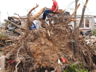 boy on uprooted tree