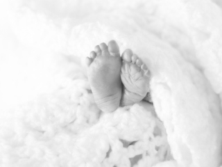 Premature infant&#039;s feet