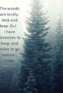 Robert Frost quote
