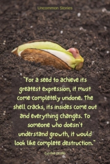 Seed sprouting with quote