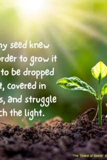 Baby plant with quote