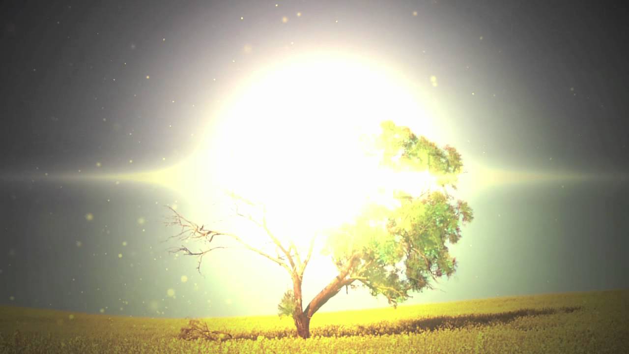 youtube placeholder image